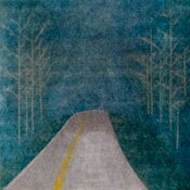 Michael Peterson, Downtown Driving Home I