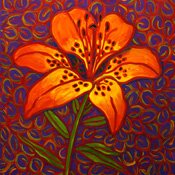Sandra Knoss, Prairie Lily